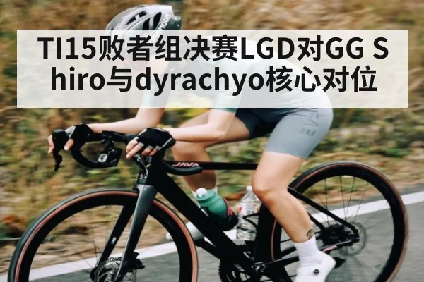 TI15败者组决赛LGD对GG Shiro与dyrachyo核心对位