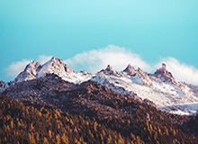 勒夫的执念和面子有多重要？战友和领导都在怀疑他